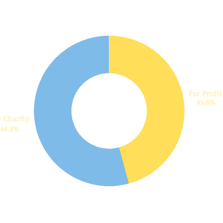 Should the zine be for profit or for charity?